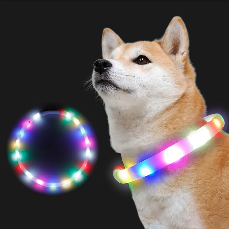 バイクと小型犬が交差点で接触事故 飼い主と運転手の双方に賠償命令