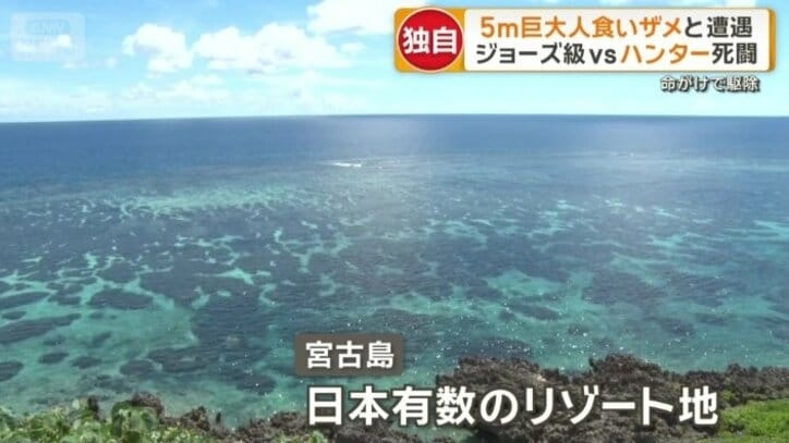 沖縄・宮古島5m巨大人食いザメ　ジョーズ級vsハンター死闘　漁業＆観光業に深刻影響