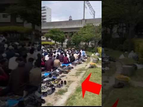 世界で1億再生した日本の風景 #shorts