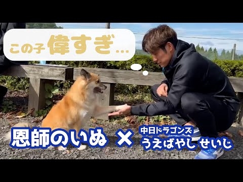 「この子、偉すぎ！」中日ドラゴンズ上林誠知選手が恩師の愛犬と触れ合う