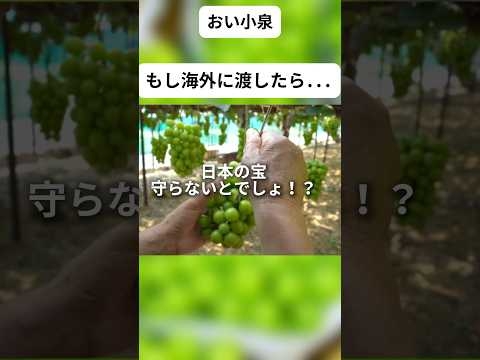 え、日本の宝を外国に！？山梨県が抗議#ニュース