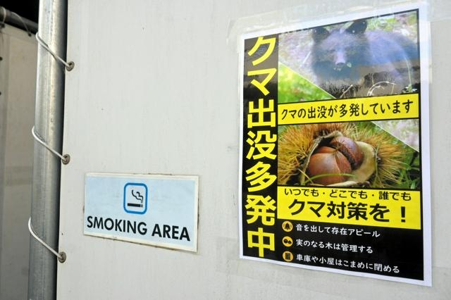 クマ駆除に自衛隊派遣検討要望へ　秋田知事「対応可能な範囲超えた」（朝日新聞） - Yahoo!ニュース