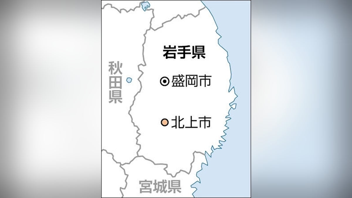 クマに襲われたか、岩手・北上市の山林で顔に傷ある性別不明の遺体…うなり声が聞こえ捜索中断 : 読売新聞