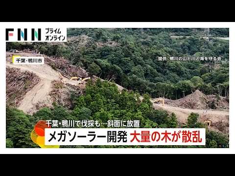 メガソーラー開発で伐採した大量の木を斜面に放置　開発区域は東京ドーム32個分　千葉県は事業者に行政指導58回　鴨川市