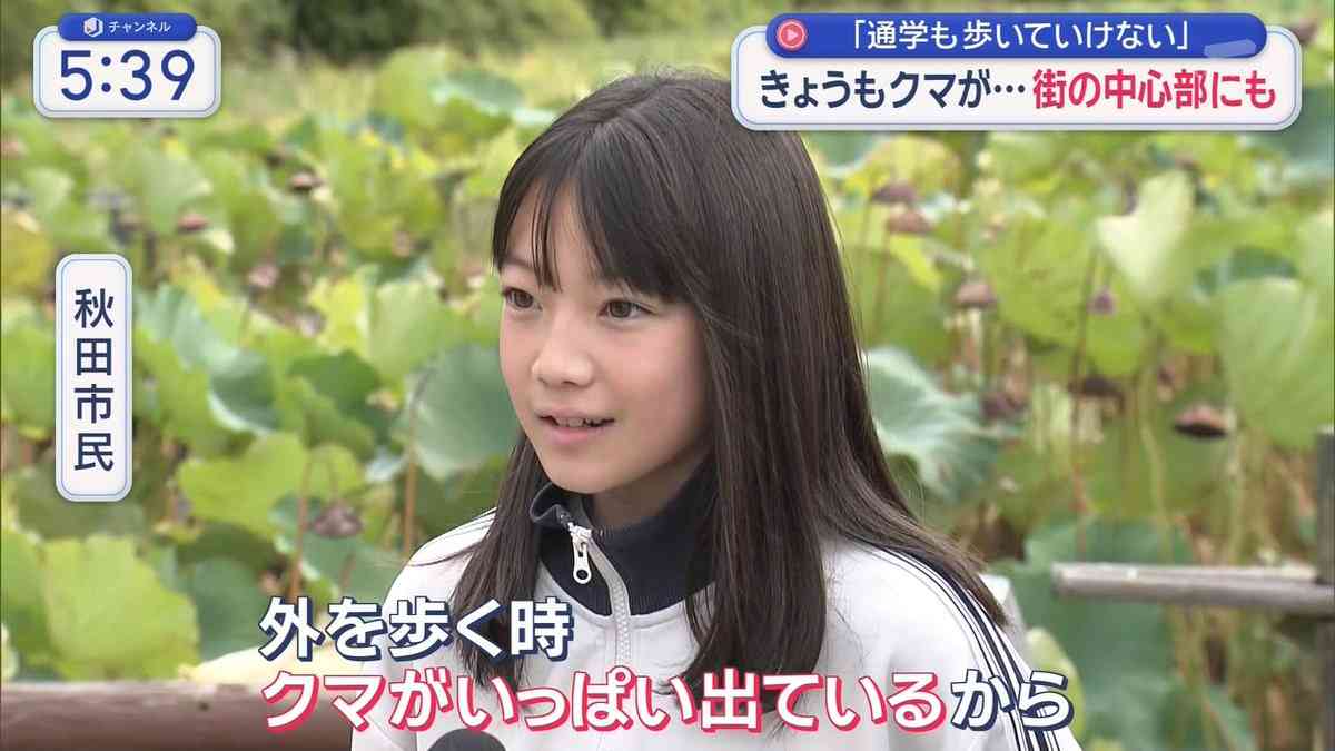 クマ駆除に自衛隊派遣検討要望へ 秋田知事「対応可能な範囲超えた」