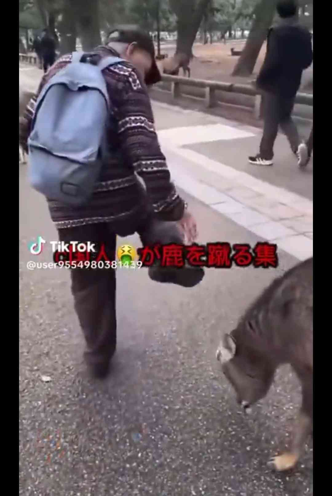 奈良公園のシカめぐる報道で日テレが声明「中傷、迷惑行為は慎んで」