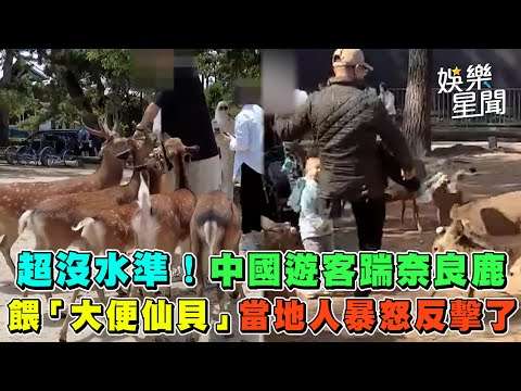 超沒水準！ 中國遊客踹奈良鹿　餵「大便仙貝」 當地人暴怒反擊了｜三立新聞網 SETN.com