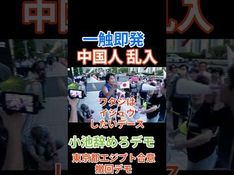 407　小池百合やめろデモに中国人乱入！