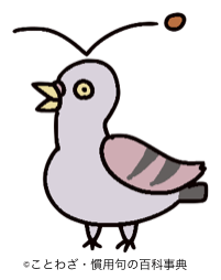 鳩が立てそうなトピ
