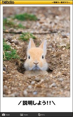 boketeで1000コメ以上を目指そう〜 part14〜