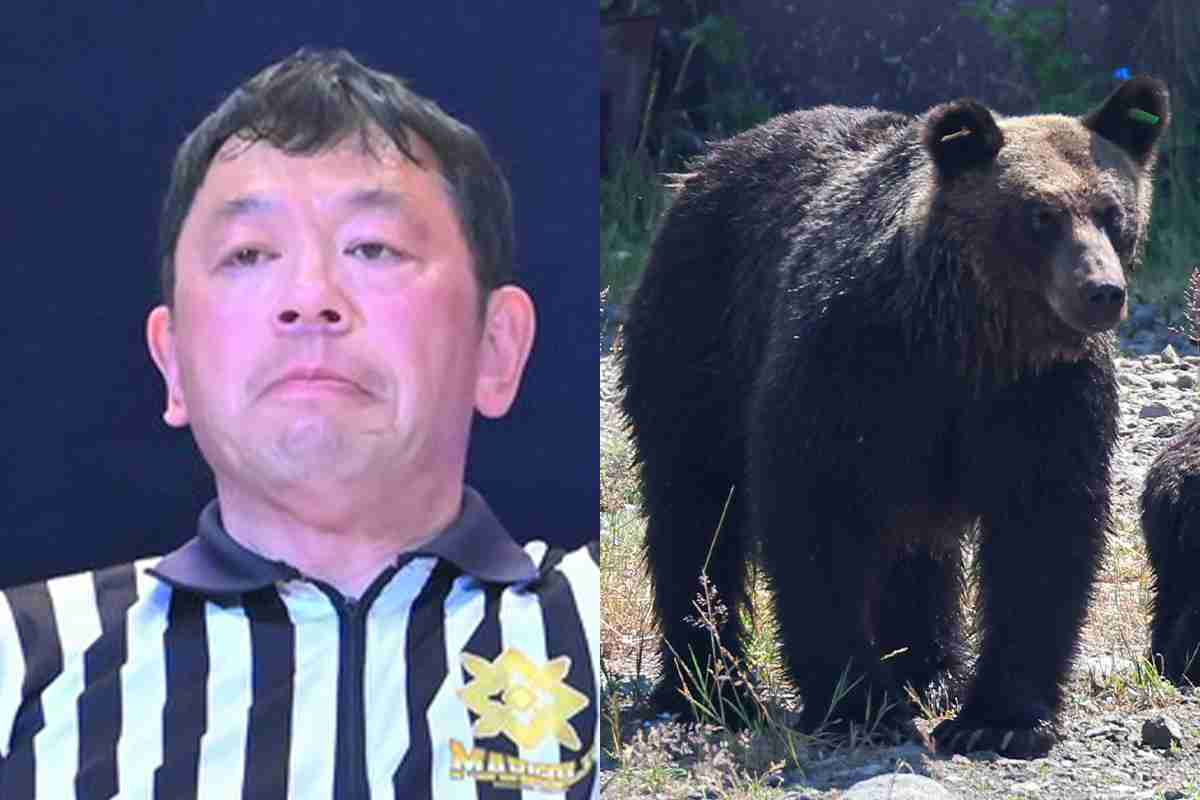《激しい損傷》「50メートルくらい遺体を引きずって……」岩手県北上市・温泉旅館の従業員がクマ被害で死亡、猟友会が語る“緊迫の現場”｜NEWSポストセブン