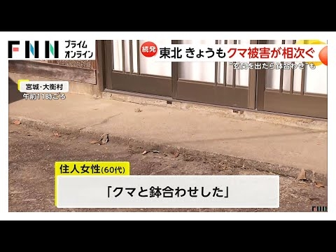 住宅の玄関付近で76歳女性クマに襲われ頭などにけが…秋田や宮城で男女4人けが　各地で被害相次ぐ