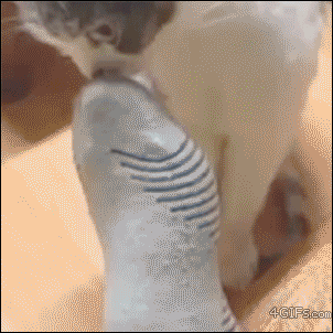 自分が臭くないか不安