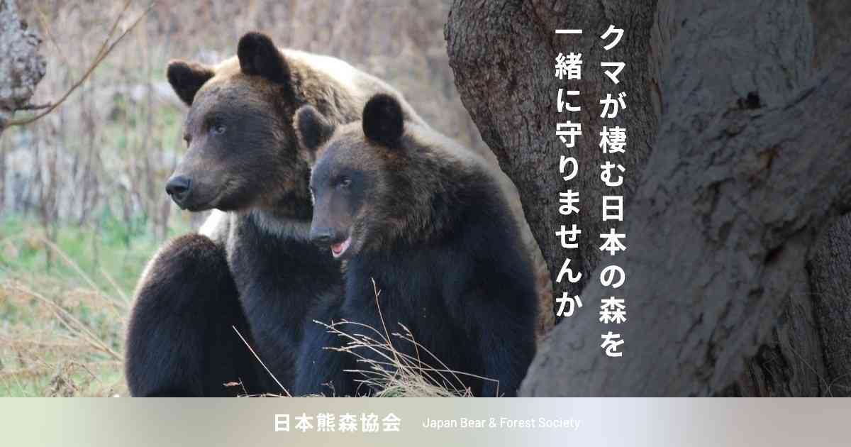 苦情なんかじゃない魂の叫び、でも、訴え方のルールは必要|日本熊森協会