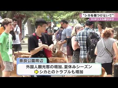 “シカを傷つけないで”　ＤＪポリスも出動　奈良公園で啓発