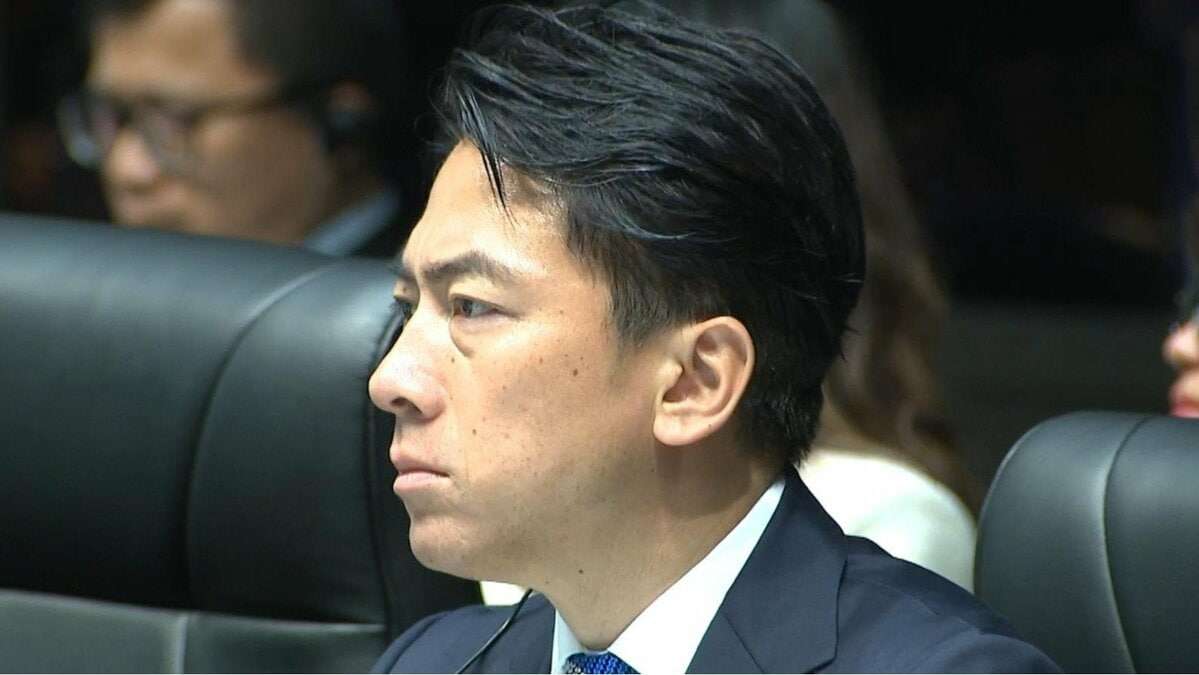 〈メール入手〉「リークしたのは誰だ？」進次郎陣営が犯人探しで疑心暗鬼に…「もはや内部では刺し合い」「みんな自分のポストがほしいだけ」  | 集英社オンライン | ニュースを本気で噛み砕け