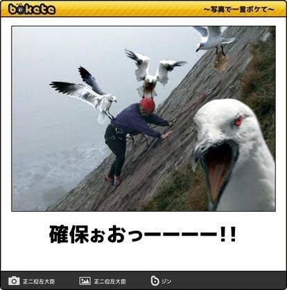 boketeで1000コメ以上を目指そう〜 part14〜