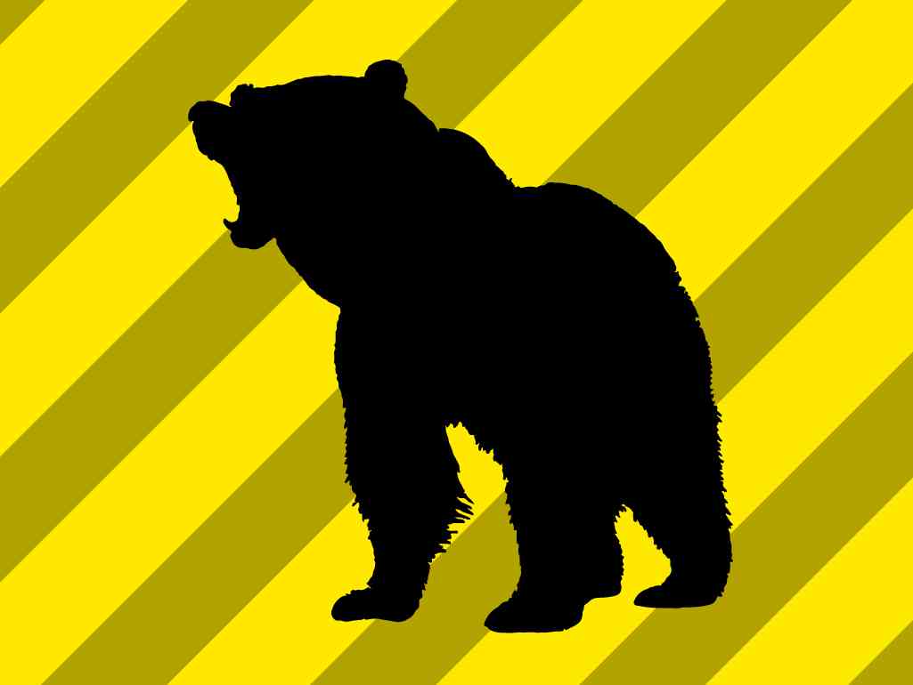 クマに4人襲われ1人死亡、秋田　顔や頭に深い傷で低酸素脳症（共同通信） - Yahoo!ニュース