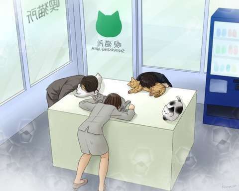 【漫画】“猫吸い”がやめられない、外で見かけるだけで興奮…　猫好きの間で話題の「猫中毒チェックリスト」に爆笑＆共感