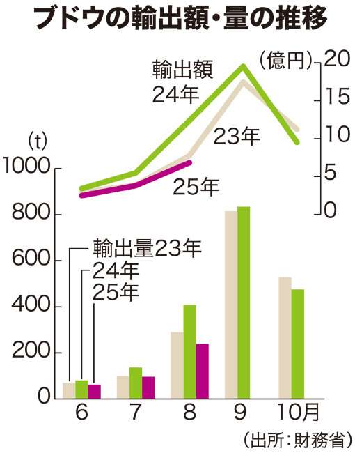 シャインマスカットの輸出低調　輸出先の景気低迷、海外産と競争も（日本農業新聞） - Yahoo!ニュース