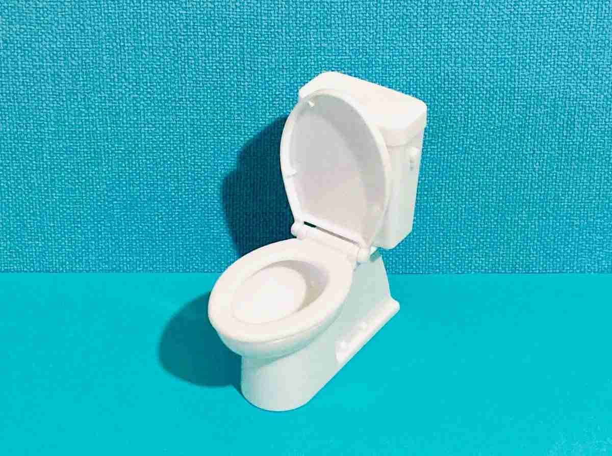 「いくら言っても立ちションする」 実は多い《座ってトイレをしない夫》にイライラする妻たち→有効な対処法が集まる | オトナンサー