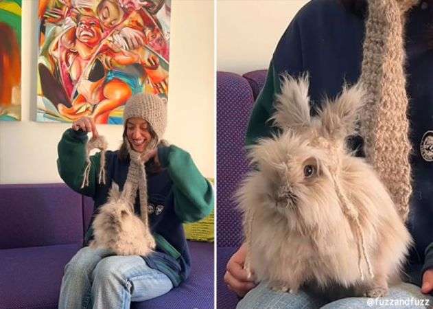 【癒し】モフモフ