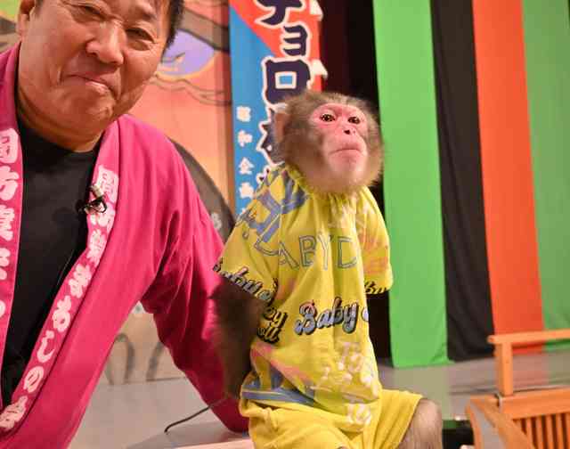 【訃報】周防猿まわしの会調教師・村崎義則さん（芸名=村崎五郎）死去　ソニー“ウォークマン”CMに出演=チョロ松とのコンビで知られる