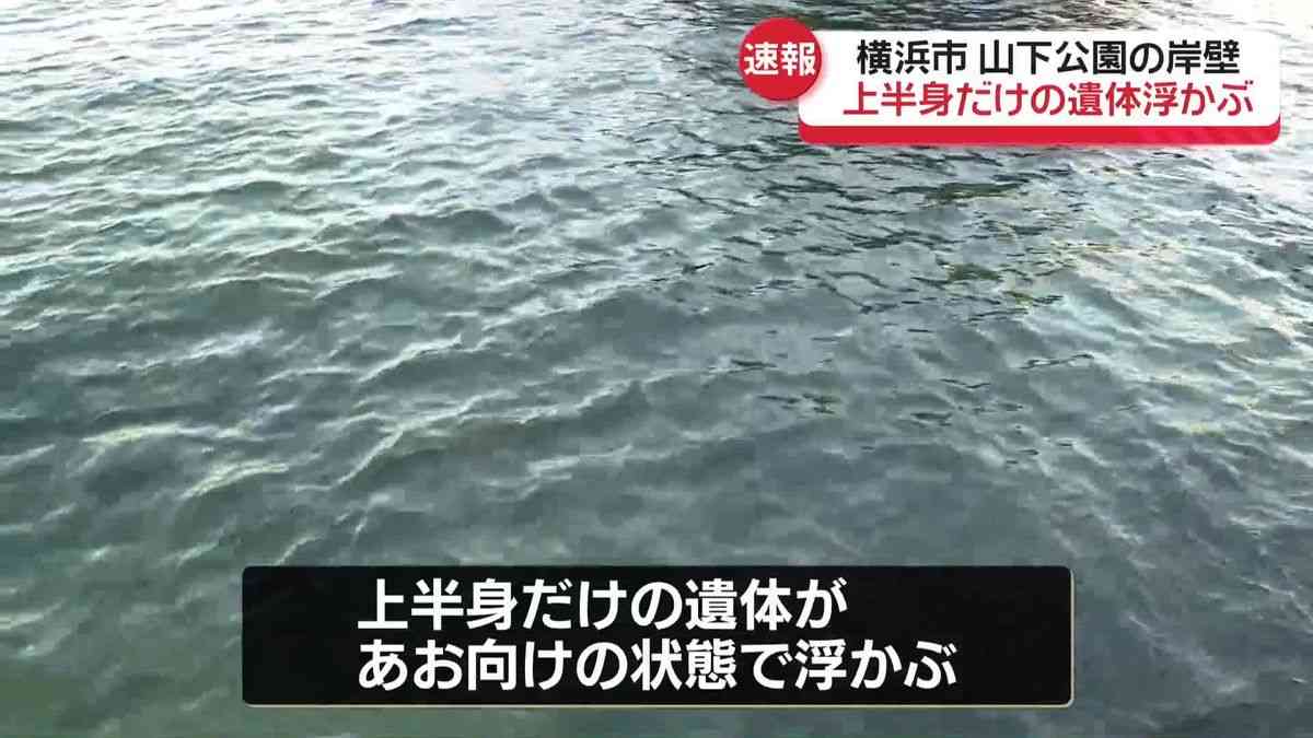 山下公園近くの海に上半身だけの遺体　横浜市（2025年11月1日掲載）｜日テレNEWS NNN
