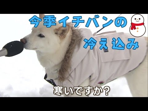 今季１番の冷え込み「さっきも転びそうになりました」ツルツル路面に注意　今シーズンの冬靴のトレンドは？