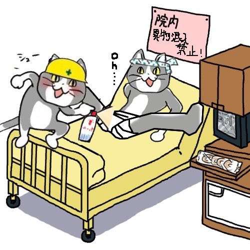 現場猫を見て癒されたい!Part9