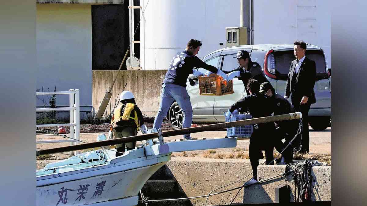 別府ひき逃げ、八田與一容疑者の遺留品を海底で捜索…海に入って逃亡した可能性も視野に捜査 : 読売新聞