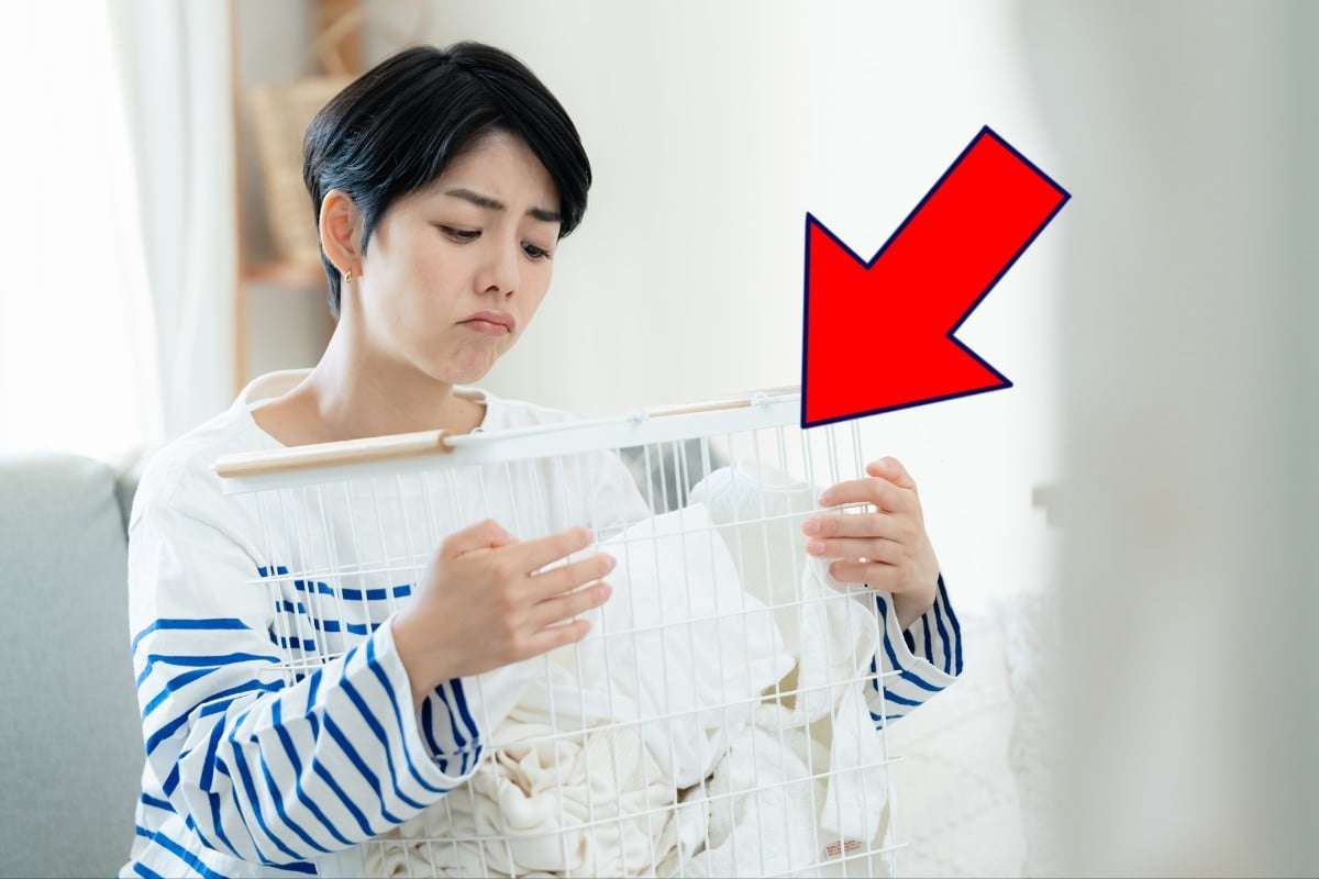 「家事の中で一番嫌いかも」多数の中…実は多かった「洗濯物を畳まない」人たちの《意外とイケる》ライフハック | オトナンサー