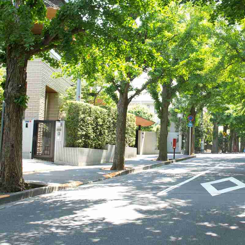 高級住宅街・田園調布に“空き地”が増加、憧れの街を縛る“建築ルールと相続”の現実