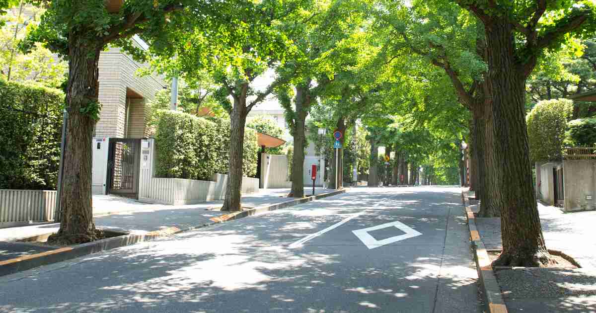 高級住宅街・田園調布に“空き地”が増加、憧れの街を縛る“建築ルールと相続”の現実 | マイナビニュース