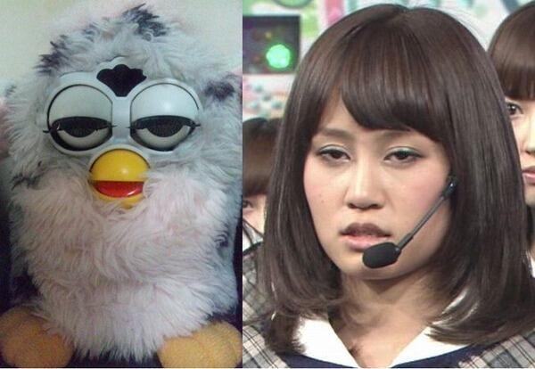 人間と人間以外で似てると思った画像を貼っていくトピ