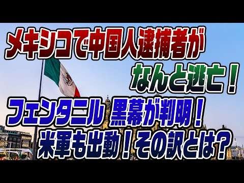 #876メキシコでも中国人が！フェンタニルの黒幕を晒します！