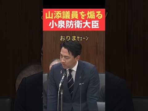 山添議員を煽ってゆく小泉防衛大臣? #shorts