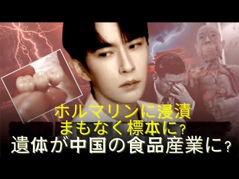 ユーモンロン事件：人体プラスティネーションから調理済み食品まで；習の9人の将軍が失脚 |  中国ニュース