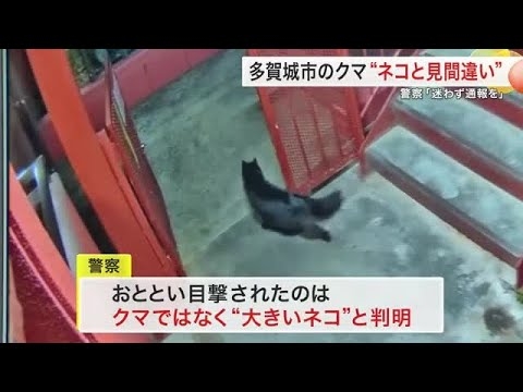 多賀城市で「クマのような生き物」目撃騒動　正体は“大きなネコ”　防犯カメラ映像で判明〈宮城〉 (25/11/06 17:31)