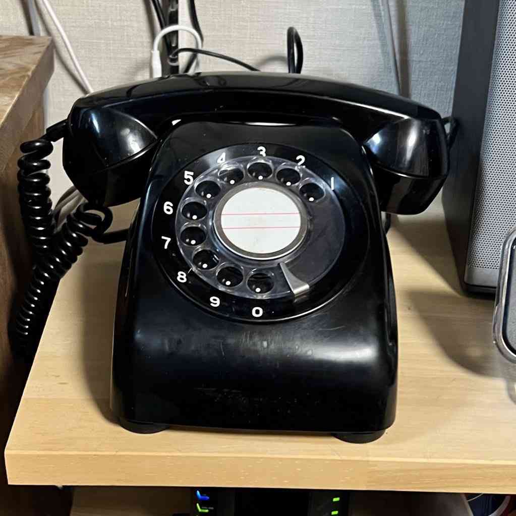 「固定電話はやめたほうがいい。携帯で知らない番号は絶対出ない」　杉村太蔵氏が譲らない高齢者の詐欺電話対策