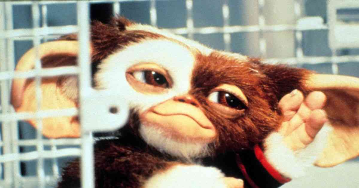 『グレムリン3』2027年11月19日US公開決定　スピルバーグ製作総指揮、クリス・コロンバス監督｜シネマトゥデイ