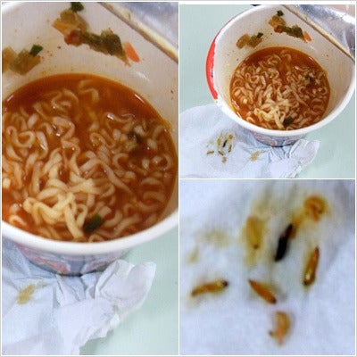 カップラーメンから生きた虫が、辛ラーメン異物混入 | ギャル男zeroの韓国留学日記☆リアル滞在記録！