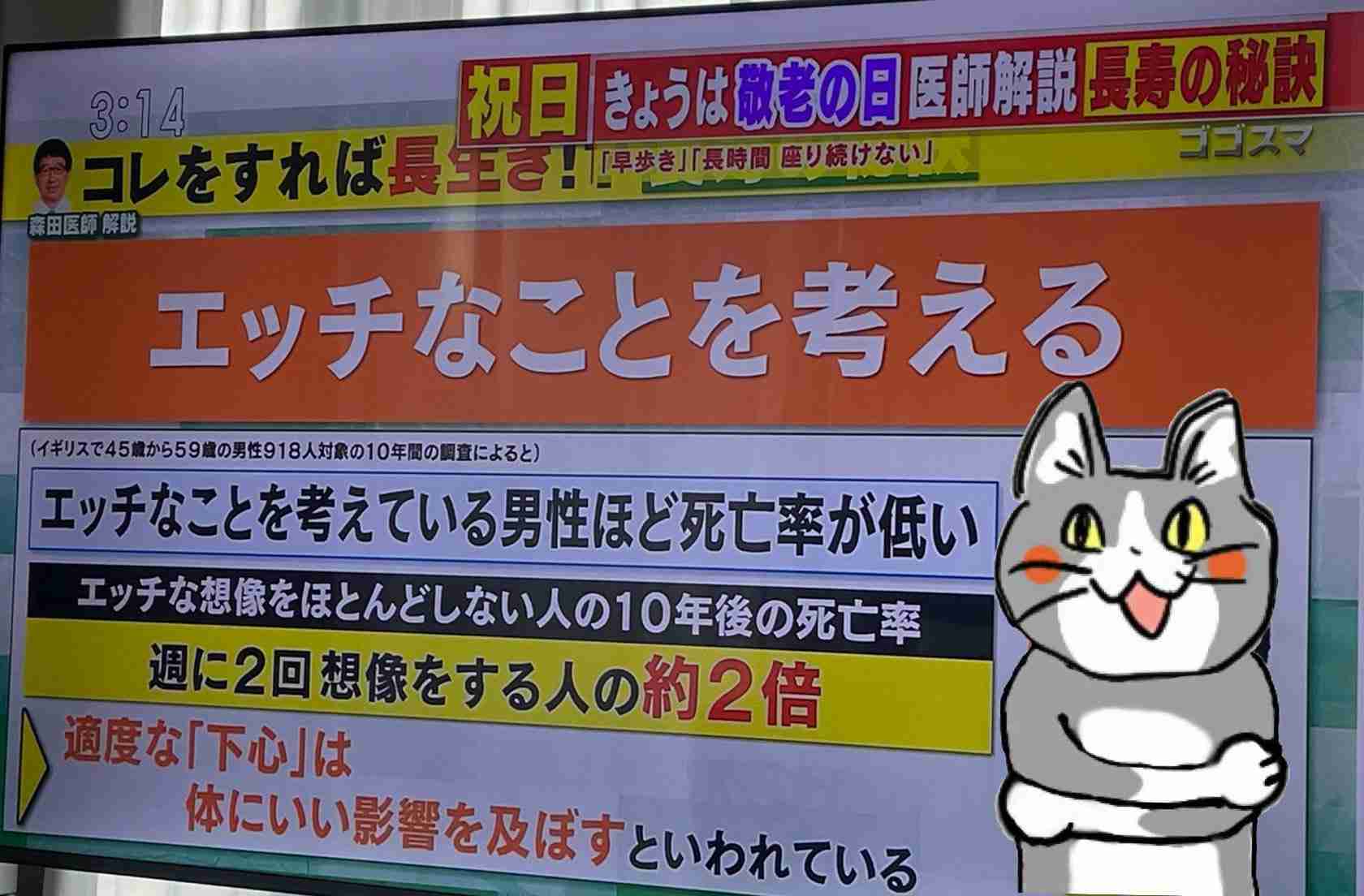 現場猫を見て癒されたい!Part9