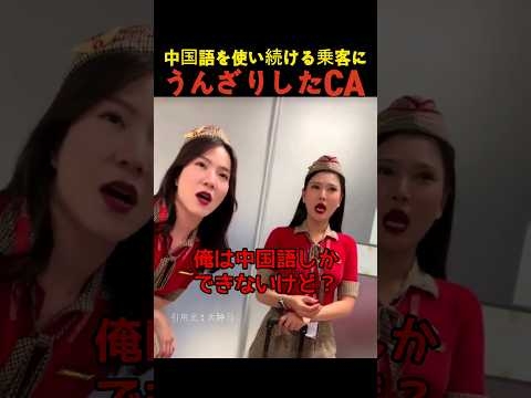 中国語を使い続ける乗客にうんざりしたCA