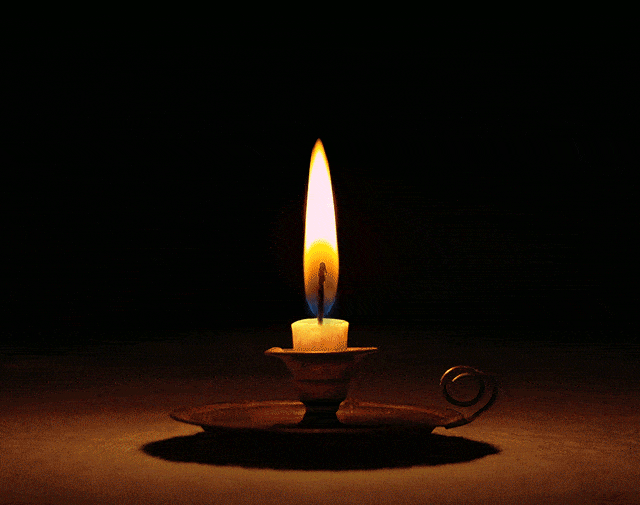 秋だから… シネマグラフをみんなで貼ろう