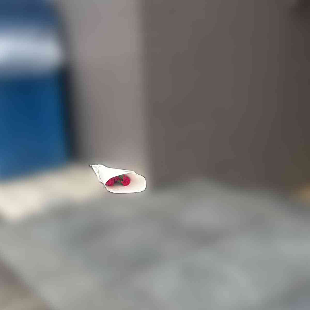 「子供を預けたくない」生後3か月の乳児殺害　容疑者の母親がSNSで明かしていた深刻な“夫婦の内情”（女性自身） - Yahoo!ニュース