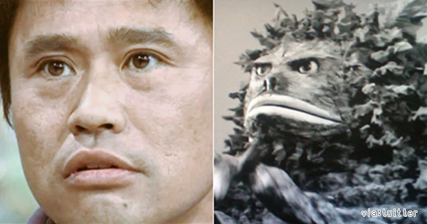 人間と人間以外で似てると思った画像を貼っていくトピ