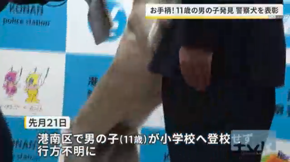 お手柄!警察犬を表彰 行方不明の11歳男児を発見 港南署