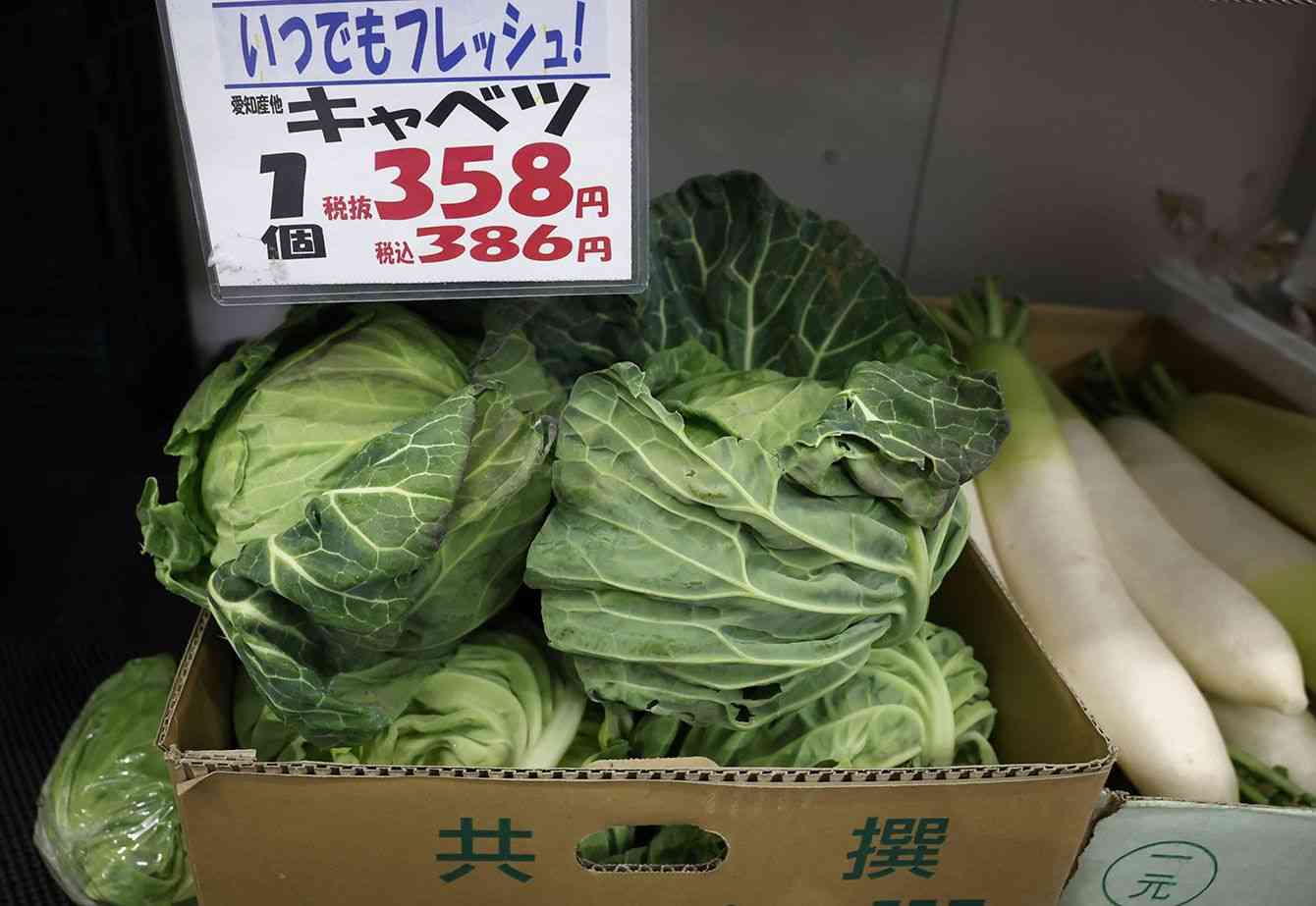 ｢キャベツ1玉500円｣は序章にすぎない…｢いままでが安すぎた｣国産野菜が