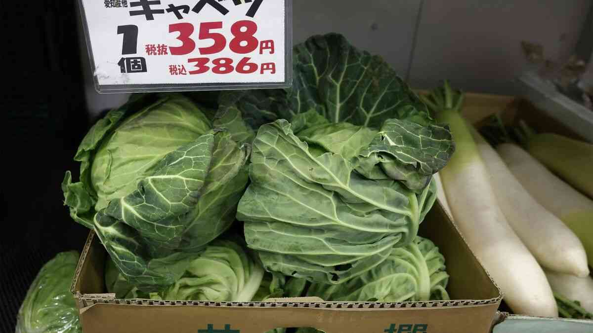 ｢キャベツ1玉500円｣は序章にすぎない…｢いままでが安すぎた｣国産野菜が